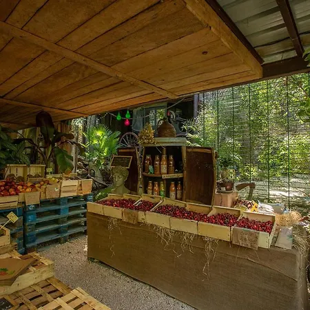 Διαμέρισμα Ferme Saint-antoine - Fuschia